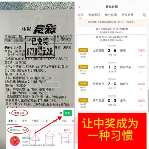 世界杯外围平台风险与安全性全面分析